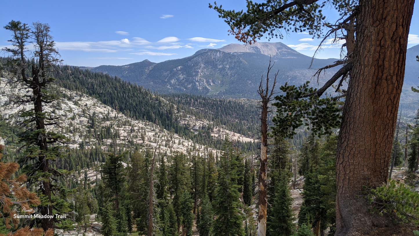 Summit Meadow Trail