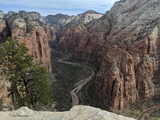 Zion Canyon View